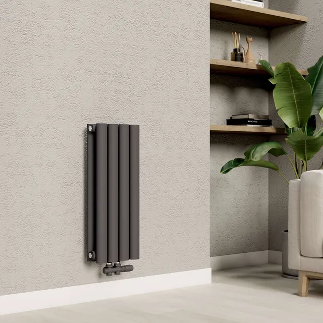 emke-radiateur-tube-ovale-anthracite-180x24-double-couche image 1