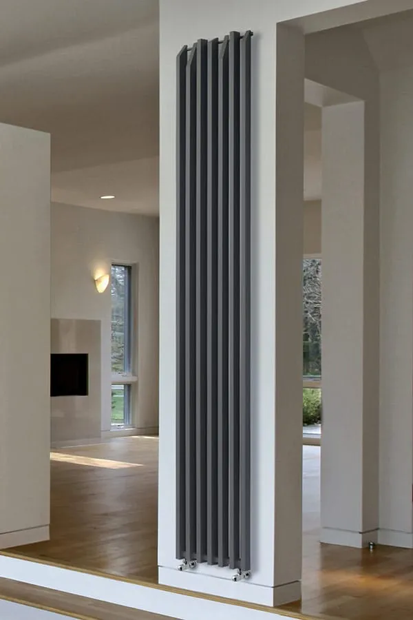 brem-lame-torri-radiateur-colonne-vertical image 1