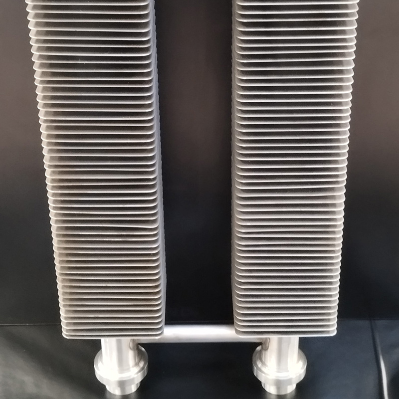 varela-vd4634-radiateur-art-nouveau-double-tube-bronze image 2